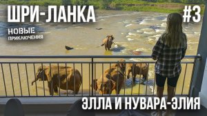 ШРИ-ЛАНКА 2023 #3. НУВАРА-ЭЛИЯ. БРИТАНСКАЯ ПОЧТА. ДОРОГА В ЭЛЛУ. ВОДОПАДЫ. КАФЕ. ОТЕЛЬ"MISTY VILLAS"