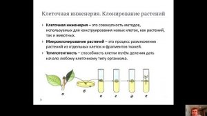 Биотехнология