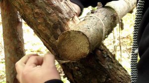 Строительство лесной хижины от начала до конца.