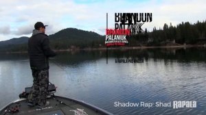 Воблеры Rapala Shadow Rap ShadВоблеры Rapala Shadow Rap Shad