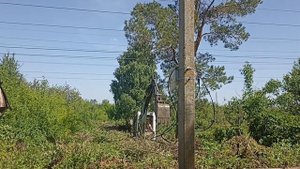 Заброшенная дача, расчистка участка