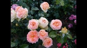 Валюша, с днём рождения!