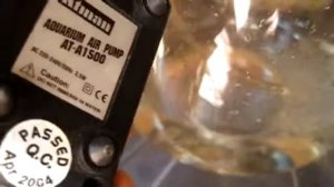 Шум компрессора Atman Aquarium Air Pump AT-A1500