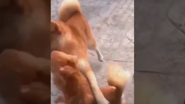 Улыбнись....