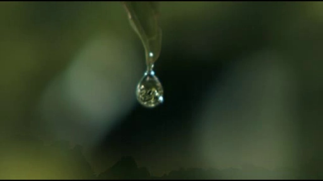 ЦЕПИ - Владимир Солженицин,сл. Олега Дудина! смотреть онлайн