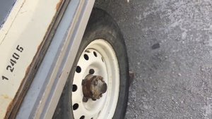 Установил эур на Уаз