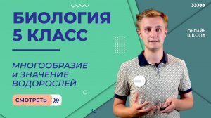 Многообразие и значение водорослей. Видеоурок 28.Биология 5 класс