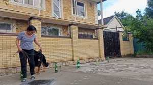 Комментирую свое видео. Работа над состоянием. Влог Асоциального Собачника.