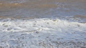 Азовское море. Пляж "Козачий берег". Станица Должанская, Ейский район, Краснодарский край.