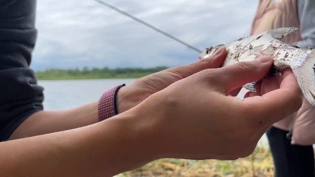 Женская рыбалка на заливе Волги (рассказываю про прикормку)