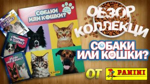 Обзор коллекции наклеек  от Panini "Собаки или кошки?"