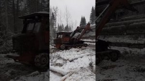 Лт 65 на погрузке лесовоза.