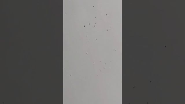 Аюта. 7 марта. После дождика в ночь. смотреть онлайн