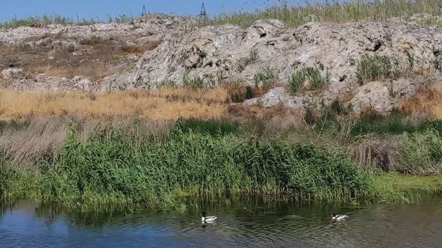 Просто прогулка 010624_ часть 2 смотреть онлайн