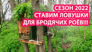 СТАВИМ ЛОВУШКИ ДЛЯ БРОДЯЧИХ РОЕВ!!!