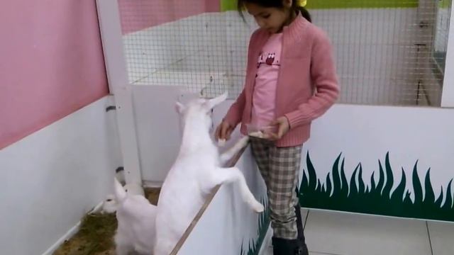 Прогулка по оренбургу смотреть онлайн