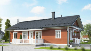 Дачный дом  50кв.м(часть 1)