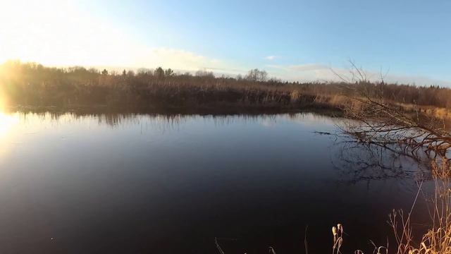 РЫБАЛКА НА ЩУКУ. НОЯБРЬ 2020. Закрытие сезона смотреть онлайн