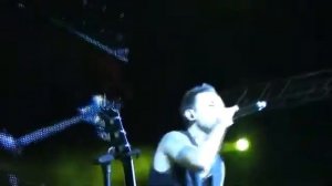 Звери Танцуй (ПИТЕР)