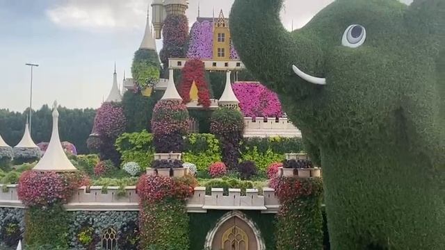 Цветочный парк  Dubai Miracle Garden. Апрель-2023 г. часть-4.
