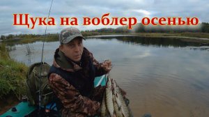 Щука на воблер осенью.  Река Хотча