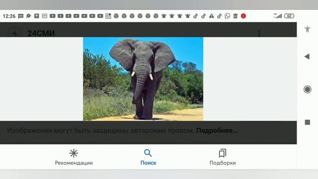 что такое слон и что будет когда слоны умрут? смотреть онлайн