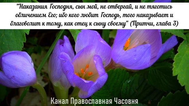 Молитвы об исцелении - 40 раз