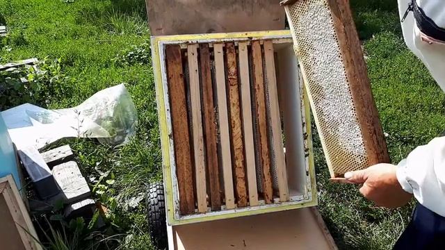 Пчелоудалители!!!Дешево и удобно!!! смотреть онлайн