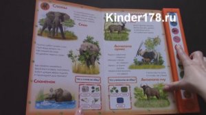 Детская музыкальная книга "Животные саванн и пустынь" Нажми – мы говорим! Азбукварик. Видео-обзор