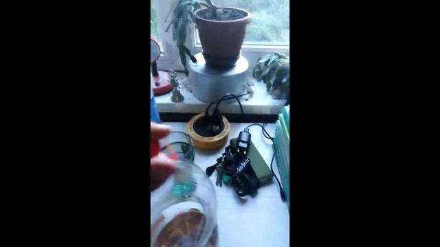 Как вызвать бога лимонада/How to call the god of lemonade смотреть онлайн