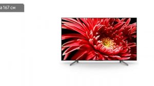 Телевизор Sony KD-75XG9505 (75XG9505BR2)