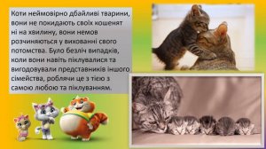 Турбота про потомство, Біологія /биология 7 класс, Забота о потомстве