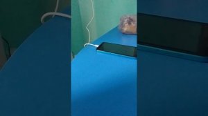 заказ товара из КитаЯ через OZON
