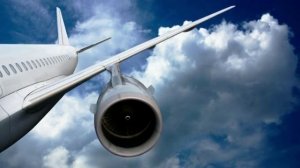 ИНТЕРЕСНЫЕ ФАКТЫ ОБ УШАХ