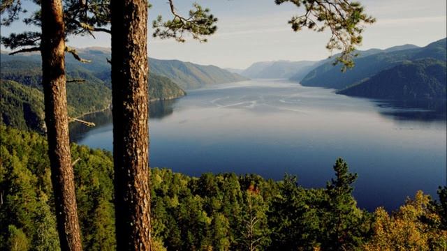 Левшинов А ИЗБАВЛЕНИЕ ОТ ИНФЕКЦИЙ смотреть онлайн