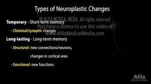 Neuroplasticity, Animation.