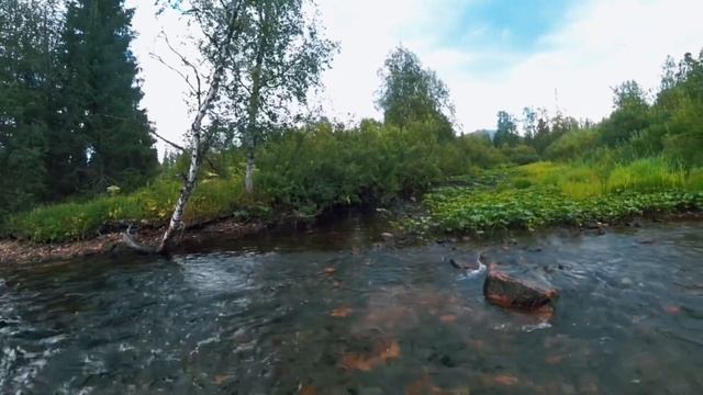 Путешествие за хариусом. С нахлыстом за огромными парусниками смотреть онлайн