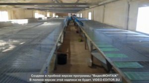 Устройство крольчатника