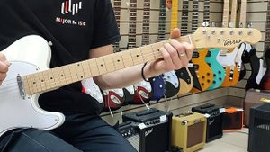 Электрогитара Terris TTL-039WH телекастер | обзор от MAJOR MUSIC