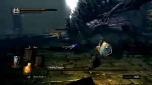 Dark Souls Gaping Dragon with Randomized Weapons