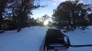 SNOWDOG on the trail