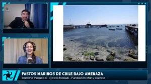 Conversatorios Virtuales en Ciencias del Mar - "Pastos marinos de Chile bajo amenaza".