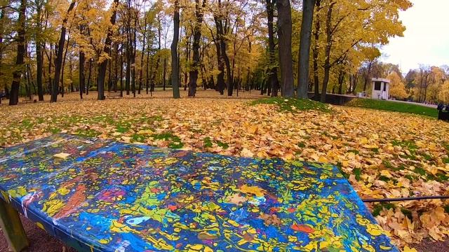 Куда сходить в Питере? В Михайловский сад. Парки Питера.
