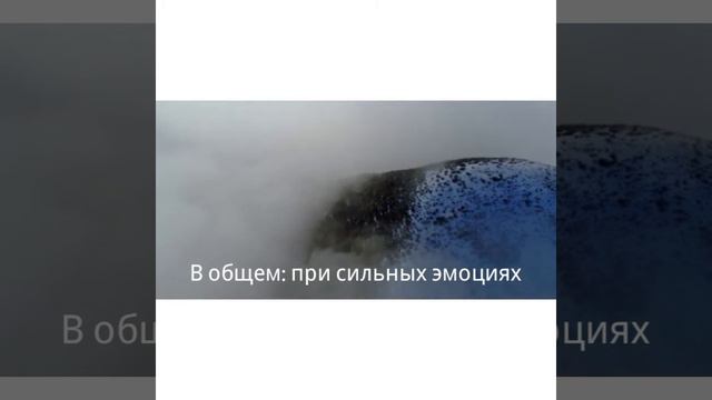 Лярва, что это такое?