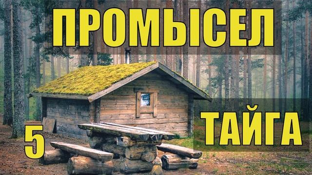 МЕДВЕДЬ ШАТУН ВСТРЕЧА ПРОМЫСЕЛ В ТАЙГЕ ПЕРЕВАЛ ПОХОД ЗИМОВЬЕ ОДИН С ЛАЙКОЙ ОТШЕЛЬНИКИ ЖИЗНЬ В ЛЕСУ
