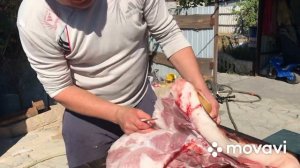 160 кг Мяса//Таранчук(Свіжина)Обвалка мяса//