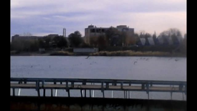 На пляже гуси !!! смотреть онлайн