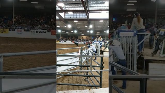 Bull rider at the rodeo