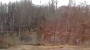 "Давай с тобой поговорим, прости, не знаю как зовут..."