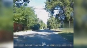 Дураки и дороги 2023  Царь дорог  Их трудно понять, Авто моменты #24